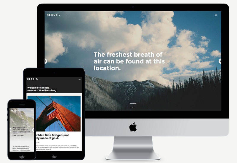 Readit: Responsive Modern WordPress Theme