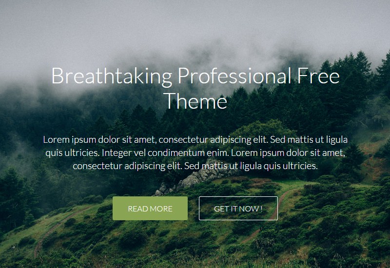 Ambition: Responsive and Flat Business WordPress Theme