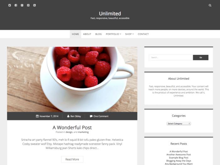Unlimited WordPress Theme
