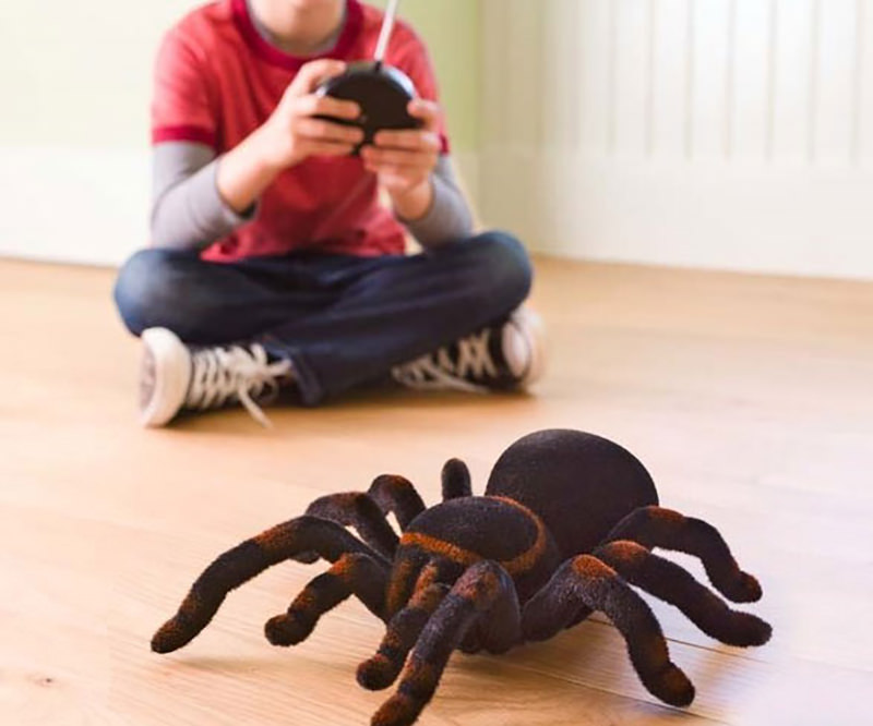 Remote Controlled Tarantula