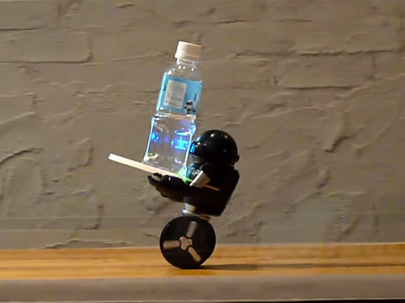 Omnnibot Two-Wheeled Robot