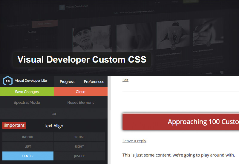 Visual Developer Custom CSS