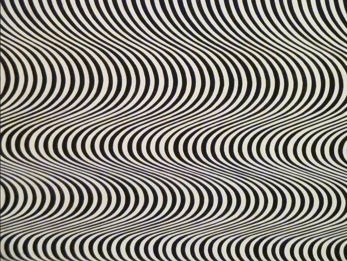 Bridget Riley Fall, 1963