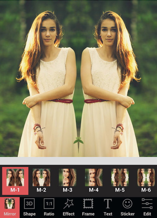 mirror image