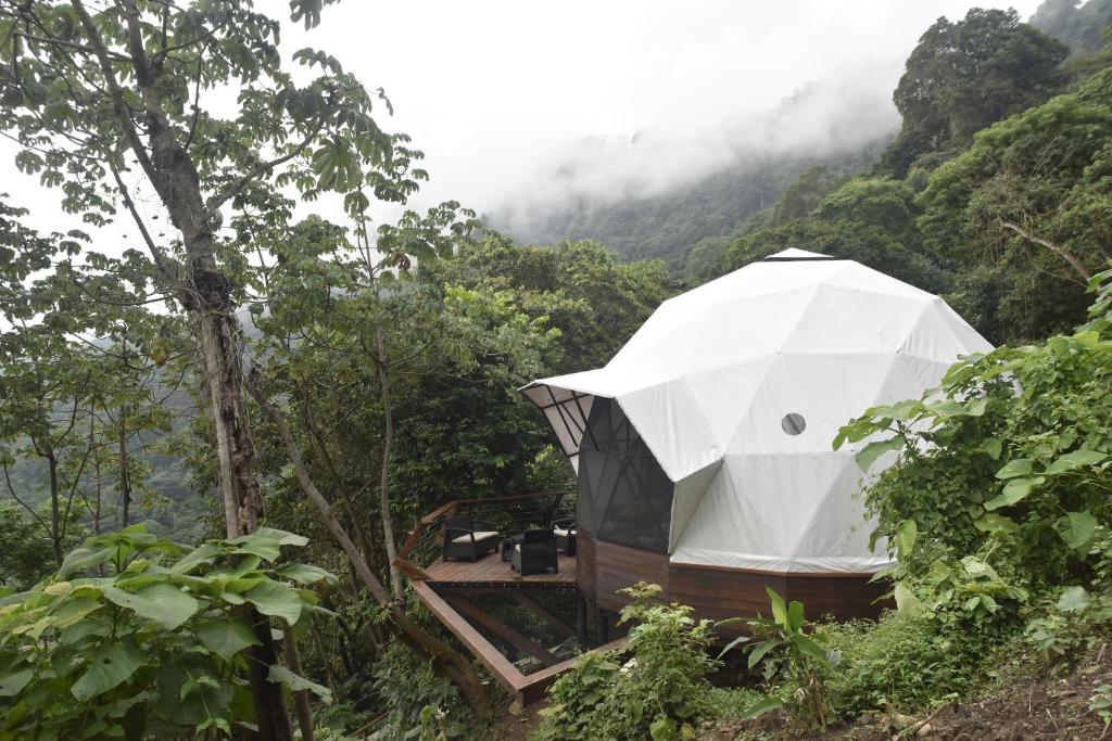 Colombia Ecotourism: 7 Amazing Nature Experiences