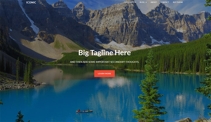 The Best WordPress Themes for Photographers