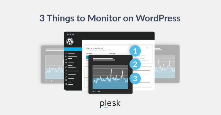3 Things to Monitor in your WordPress Site