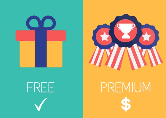 How to Make a Freemium Pricing Model Work for Your SaaS Business
