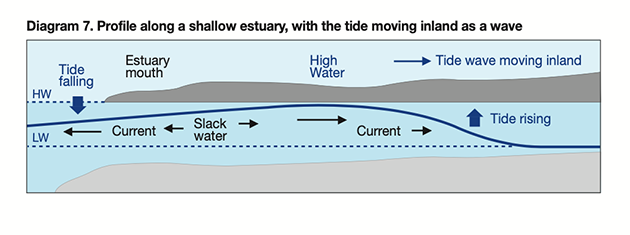 A diagram showing a profile along a shallow estuary