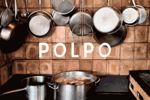 Brand Identity for Polpo by FaenaEnigmatic and with an excellent...