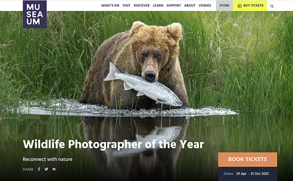 Wildlife Photographer of the Year exhibition on display in Sydney