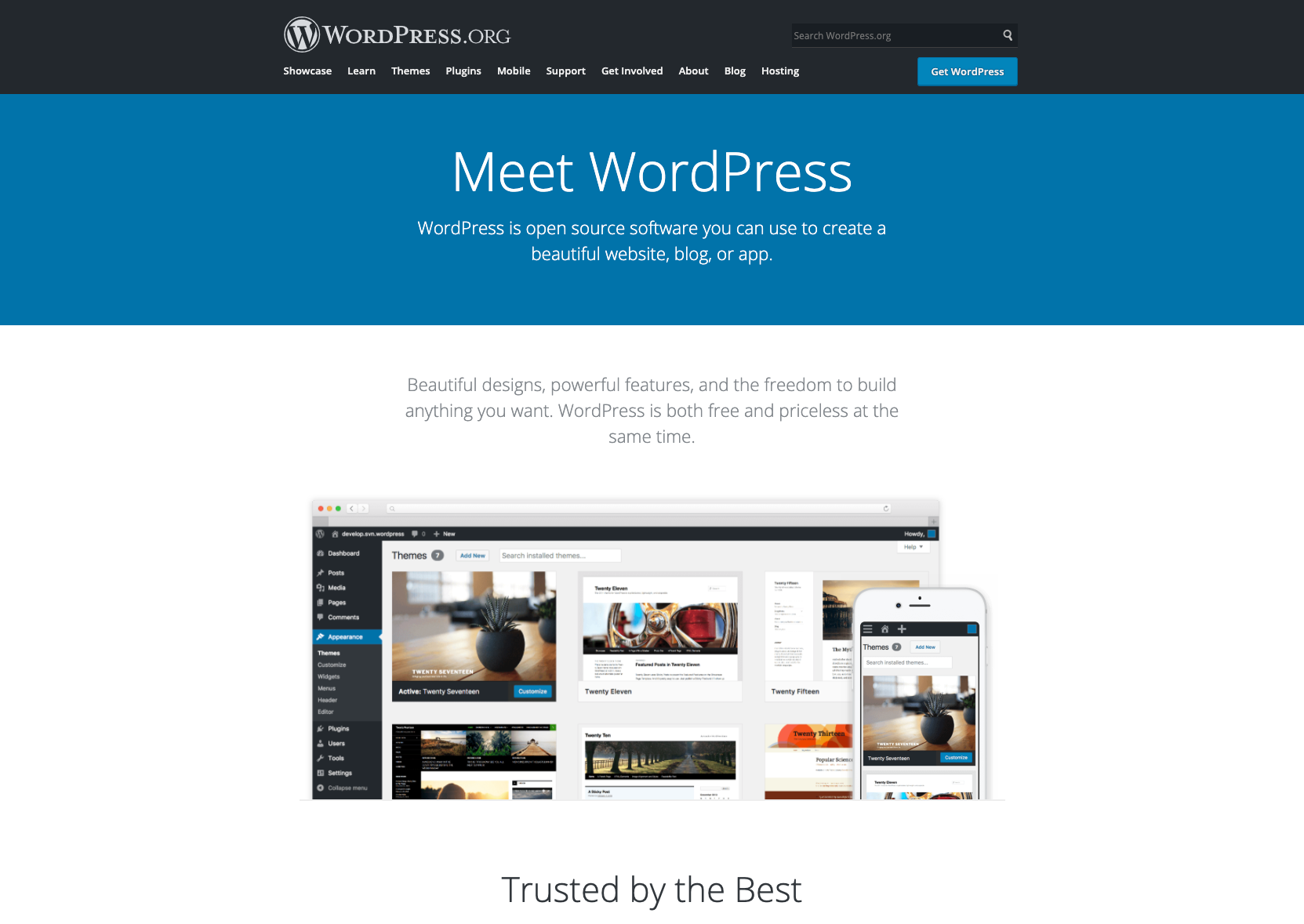 WordPress Business Site