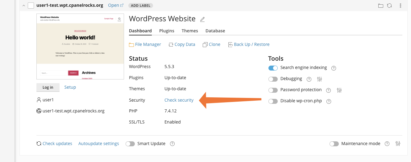 WordPress Check Security